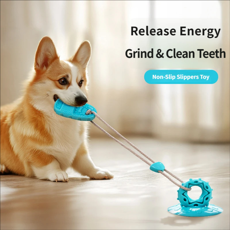 Jouet de traction pour chien à - Suction Cup Dog Tug Toy avis et prix