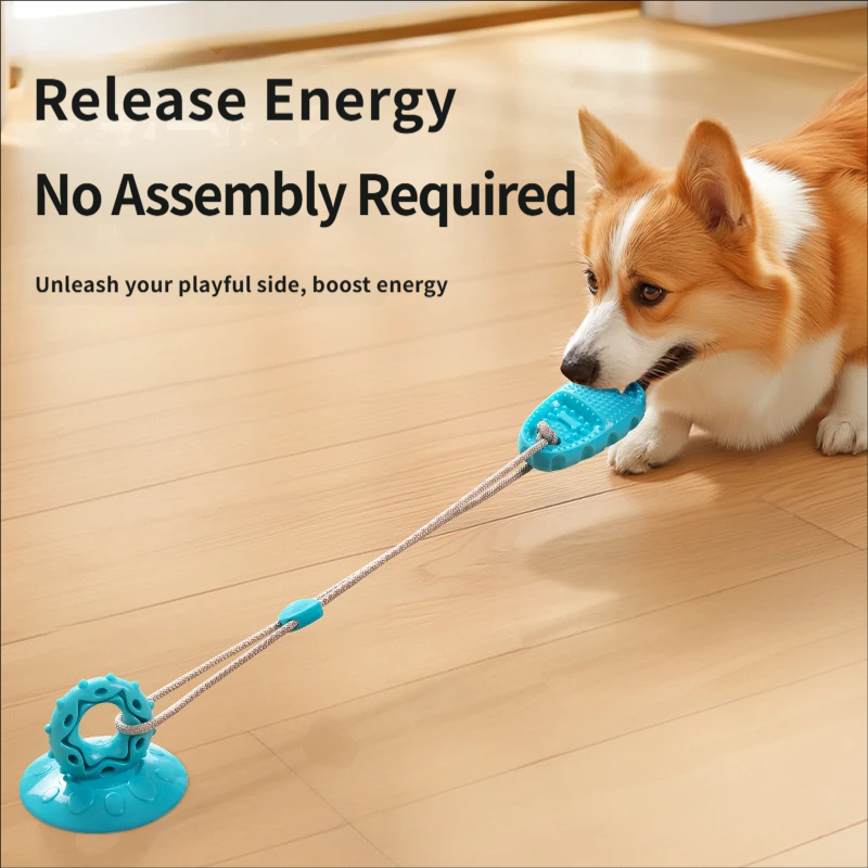 Jouet de traction pour chien à - Suction Cup Dog Tug Toy avis et prix