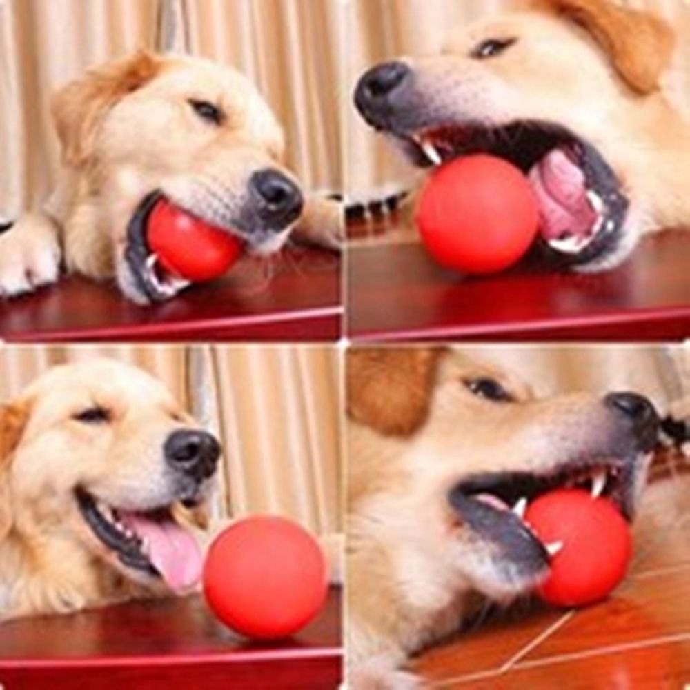 Balle d'entraînement en caoutc - Indestructible Dog Chew Toy avis et prix