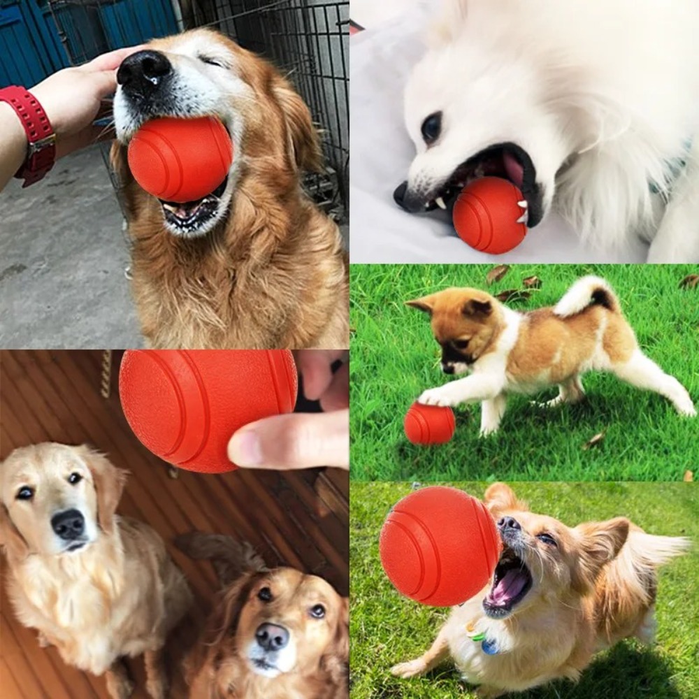 Balle d'entraînement en caoutc - Indestructible Dog Chew Toy avis et prix