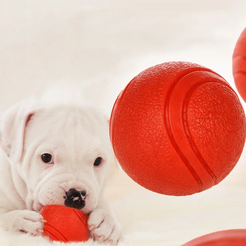 Balle d'entraînement en caoutc - Indestructible Dog Chew Toy avis et prix