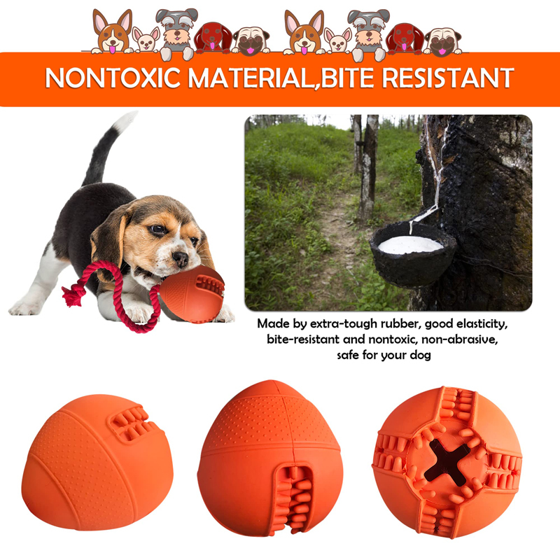 Benepaw-Jouets Interactifs Éco - Rubber Treat Dispensing Dog Toy avis et prix