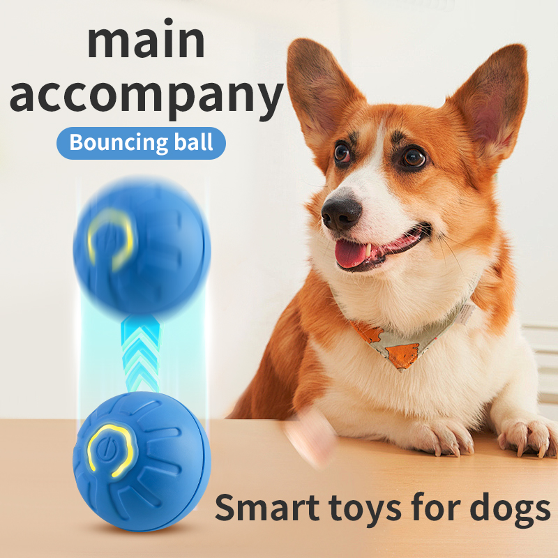 Balle de jouet pour chien en m - Automatic Moving Dog Ball avis et prix