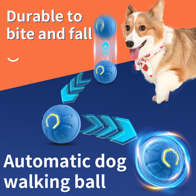 Balle de jouet pour chien en m - Automatic Moving Dog Ball avis et prix