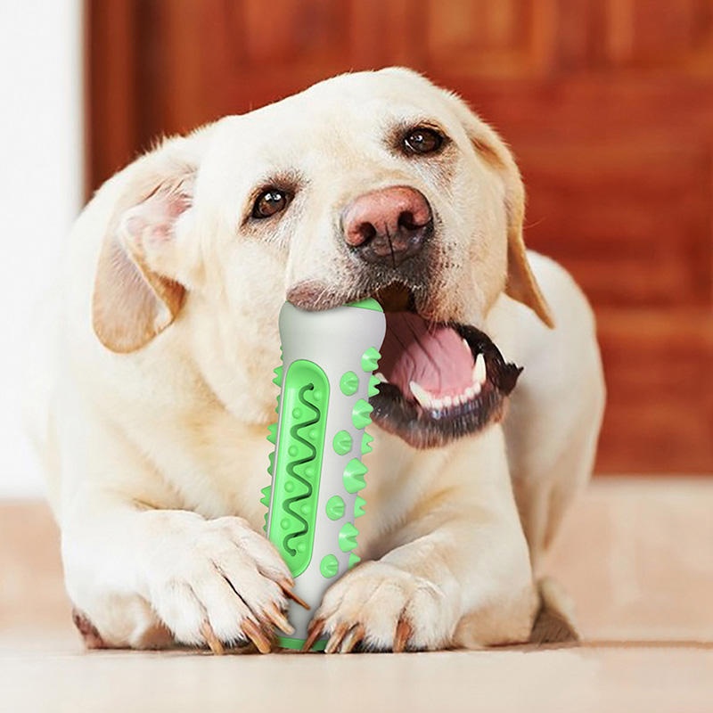 Jouet à mâcher en TPR pour chi - Teeth Cleaning Dog Chew Bone avis et prix