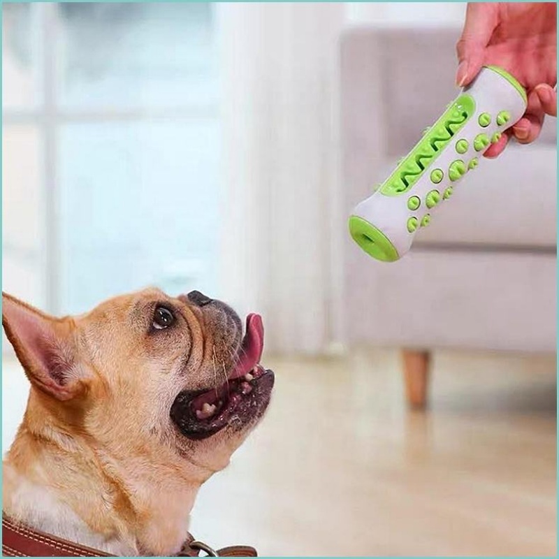Jouet à mâcher en TPR pour chi - Teeth Cleaning Dog Chew Bone avis et prix
