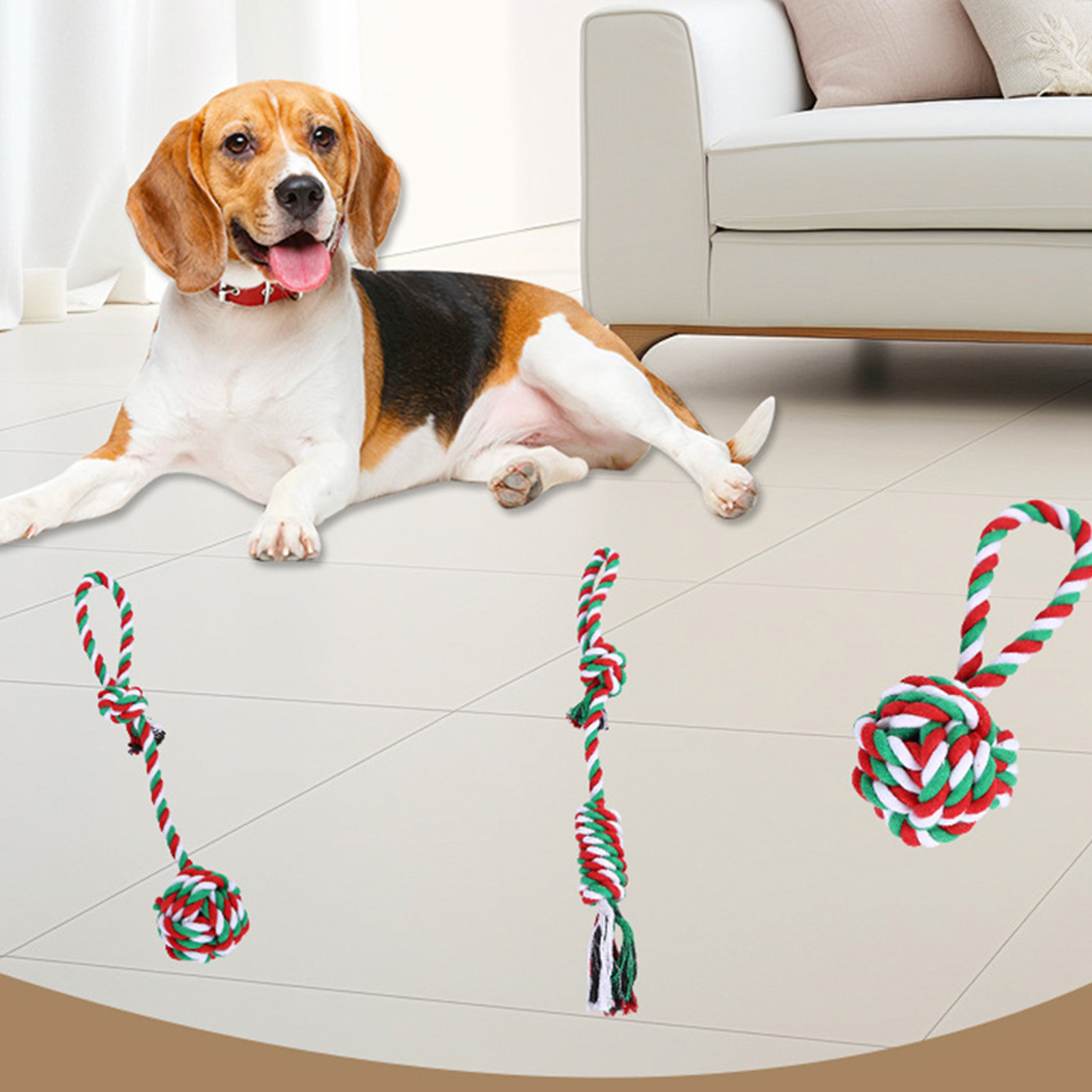 Ensemble de jouets à mâcher po - Dog Rope Toy Aggressive Chewers avis et prix