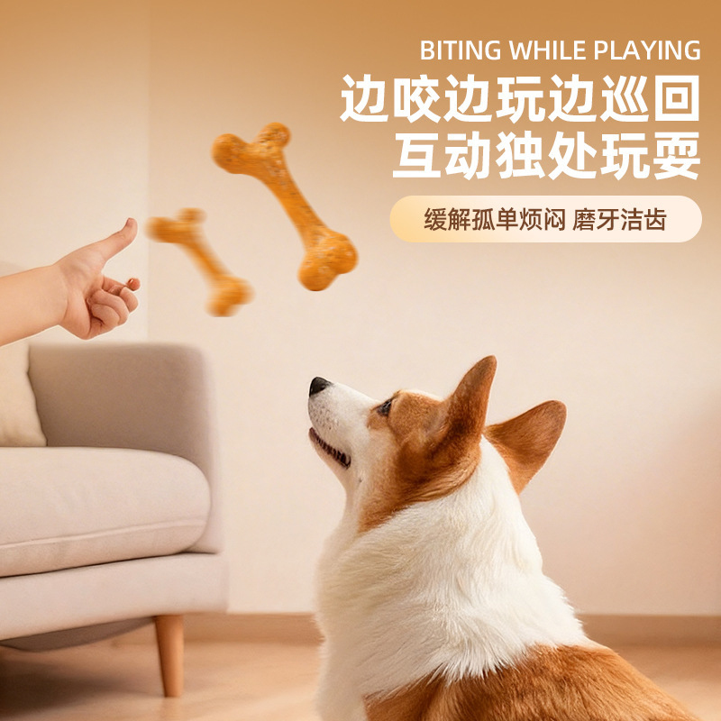 Jouet pour chien TPR durable,  - Teeth Cleaning Dog Chew Bone avis et prix