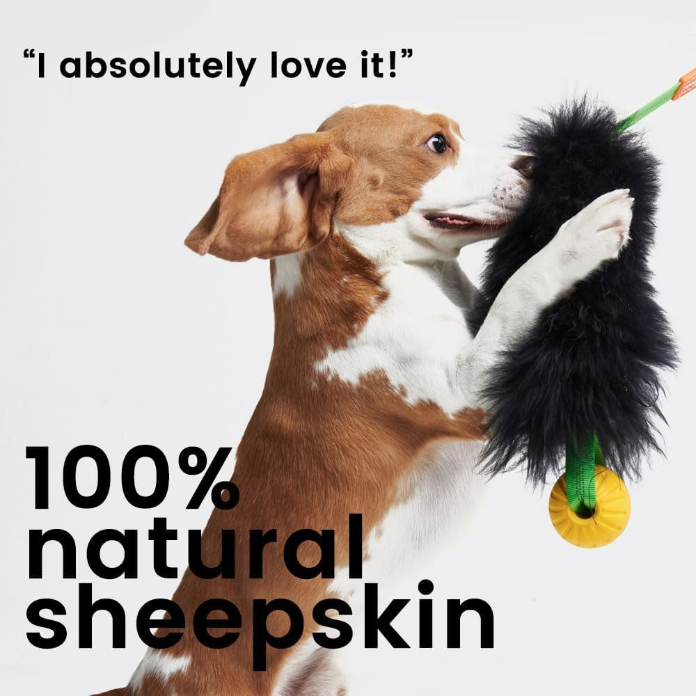 Jouet interactif en corde pour - Indestructible Dog Chew Toy avis et prix