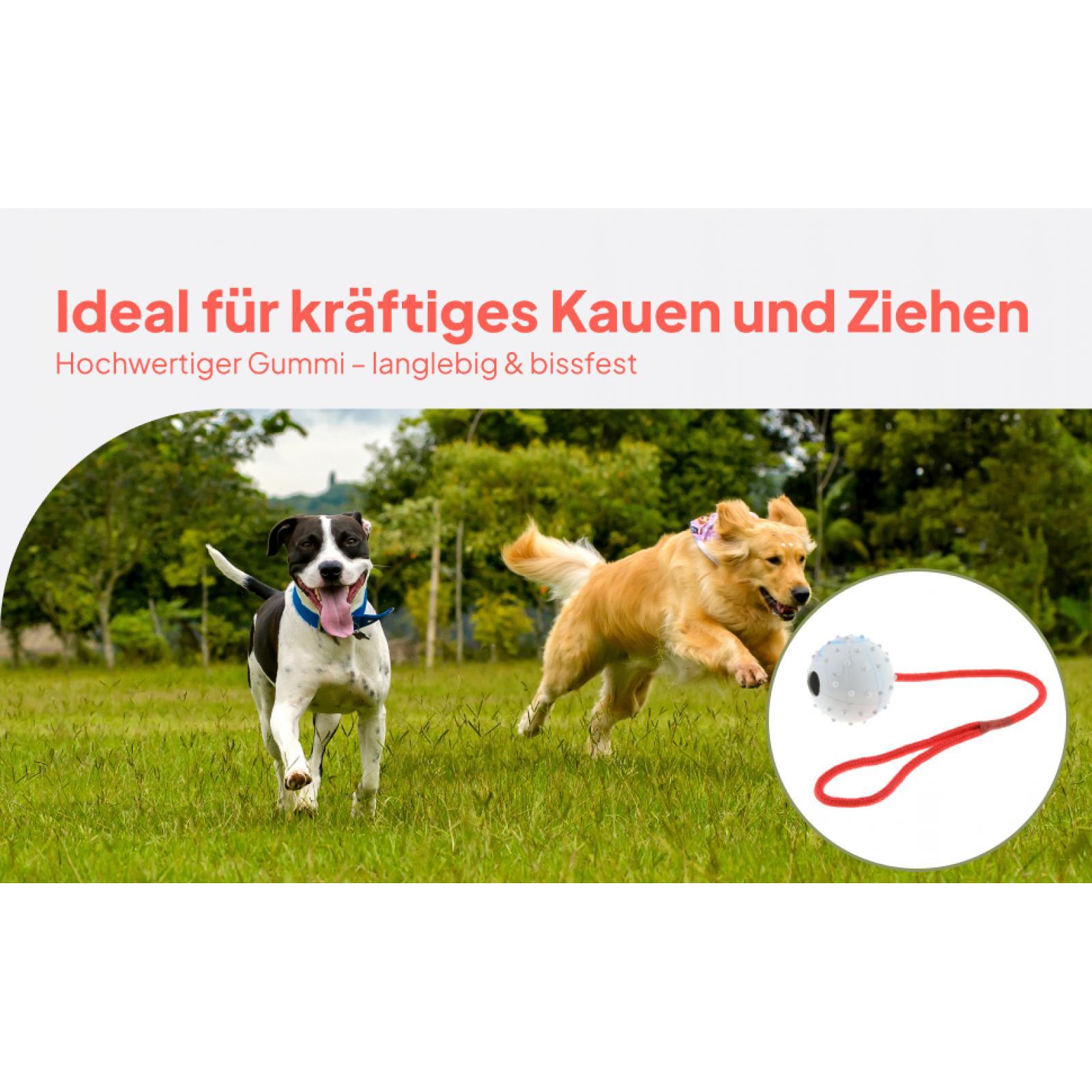 Jouet d'entraînement pour anim - Rubber Treat Dispensing Dog Toy avis et prix