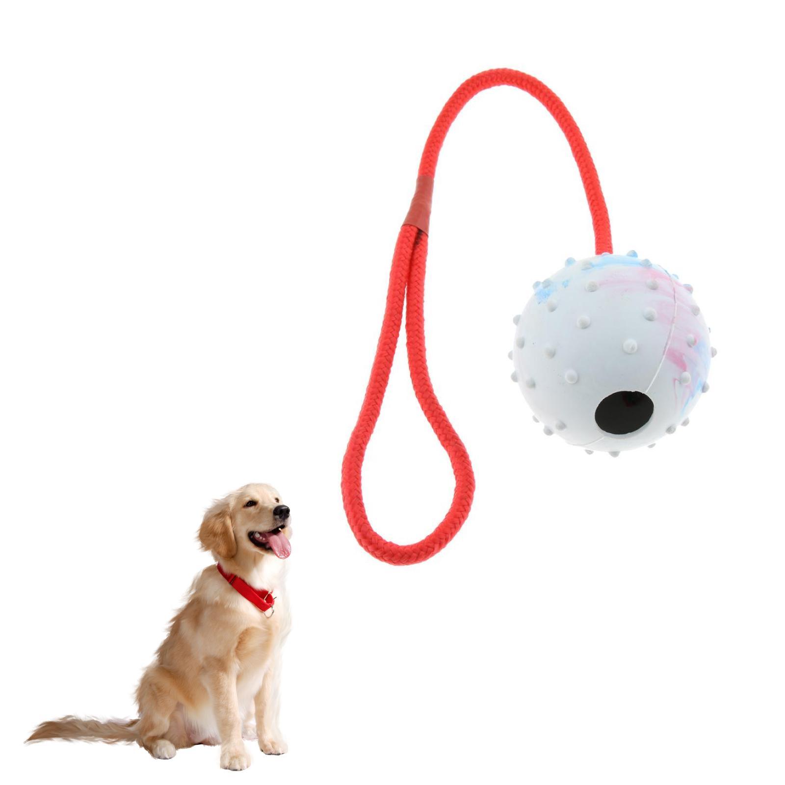 Jouet d'entraînement pour anim - Rubber Treat Dispensing Dog Toy avis et prix