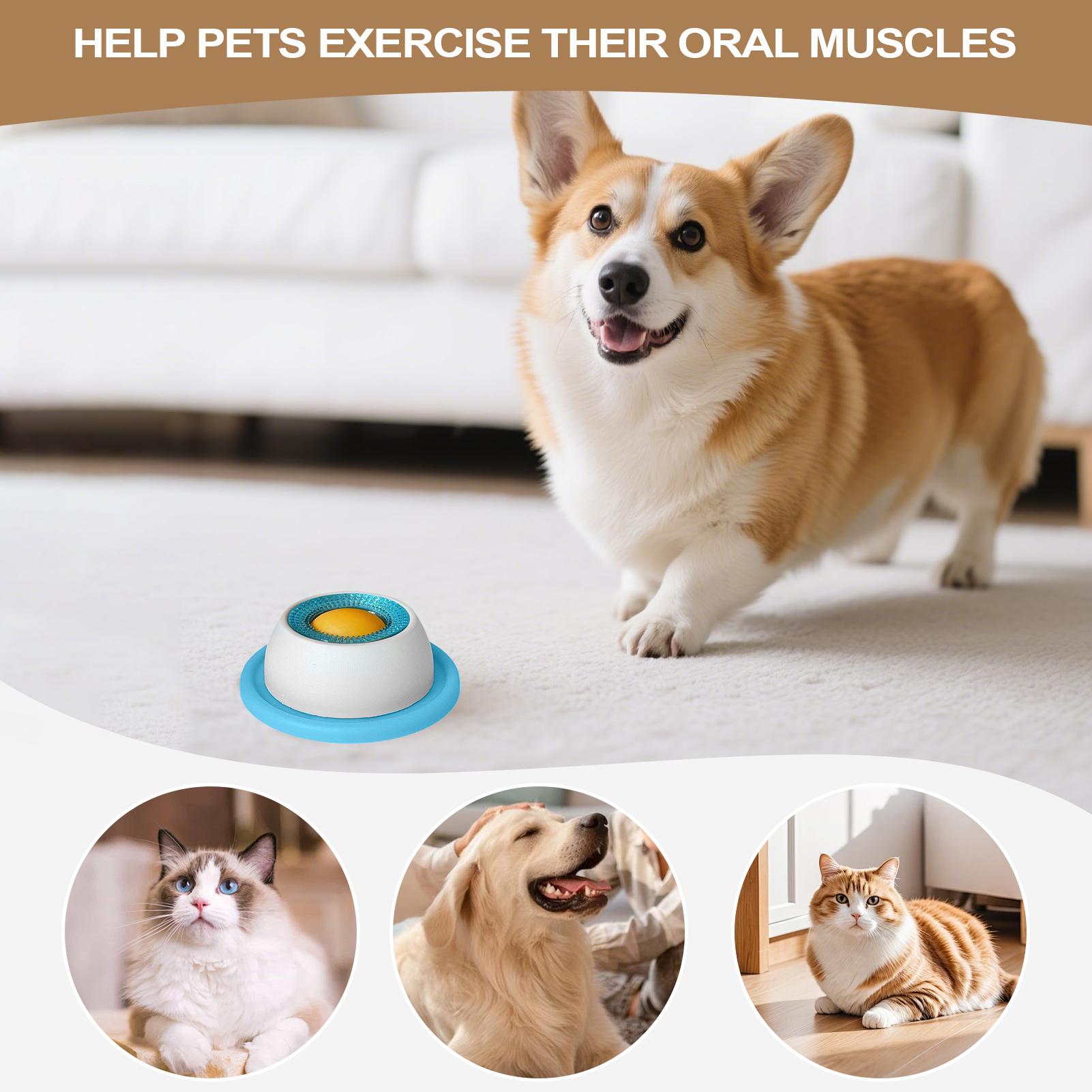 Accessoires d'alimentation pou - Dog Puzzle Feeder Toy avis et prix